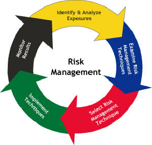 Enhancing Software Project Success with Risk Management